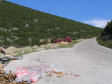 Dovolená Černá Hora 2006 - foto č. 203