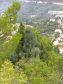 Dovolená Černá Hora 2006 - foto č. 292