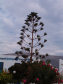 ostrov Paros, městečko Parikie - foto č. 29