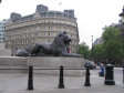 Trafalgar square a National Gallery - foto č. 20