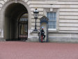 Stráž u Buckinghamského paláce - foto č. 91