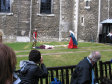Tower of London - foto č. 227