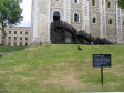 Tower of London - foto č. 235