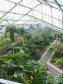 Kew Gardens - královské botanické zahrady - foto č. 295