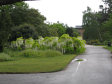 Kew Gardens - královské botanické zahrady - foto č. 298