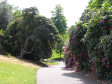 Kew Gardens - královské botanické zahrady - foto č. 302